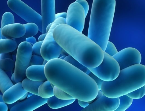 Legionella blauw