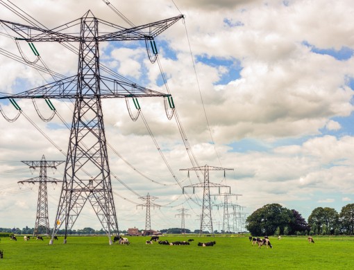 Elektriciteitsmast in weiland Nederland.jpg