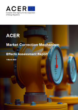 ACER-MCM1